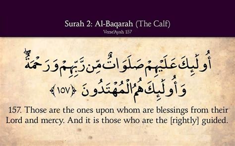 100+ Beautiful Quran Verses to Know the Blessing of Allah Upon Us