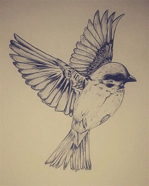 Bird in flight pencil drawing | Bird drawings, Flying bird drawing, Sketches