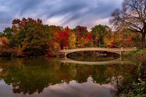 Central Park Bow Bridge, Central Park Lake, New York Photography, New ...