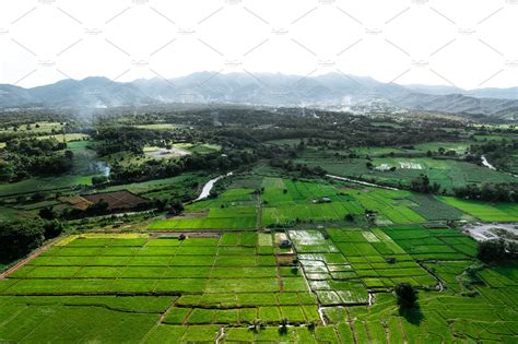 Rice field ,Aerial view of rice fields | Nature Stock Photos ~ Creative ...