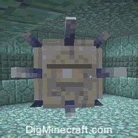 How to Summon an Elder Guardian in Minecraft