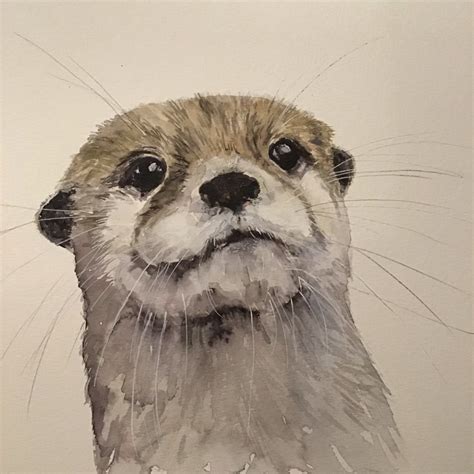 Baby River Otter Drawing