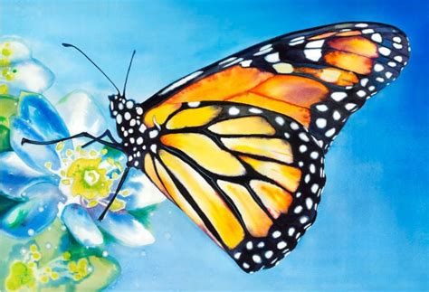 10+ Beautiful Butterfly Painting Ideas