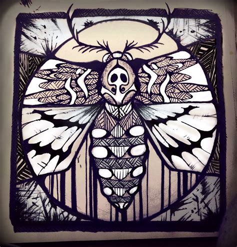 Deaths head hawk moth art. Ink drawn. | Moth art, Art, Painting