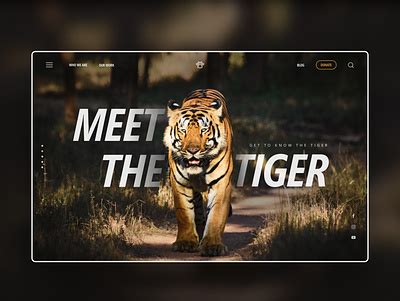 Save The Tiger designs, themes, templates and downloadable graphic elements on Dribbble