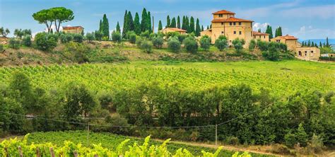 Ultimate Guide To the Tuscany Wine Region