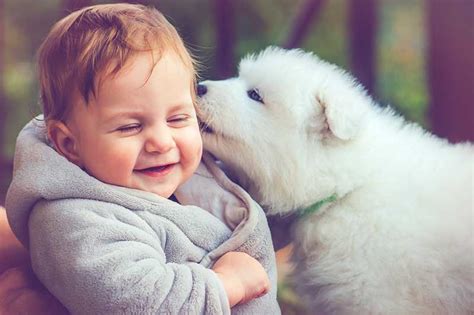 Best Friends Forever: Keeping Kids and Pets Safe Together | Lone Tree ...