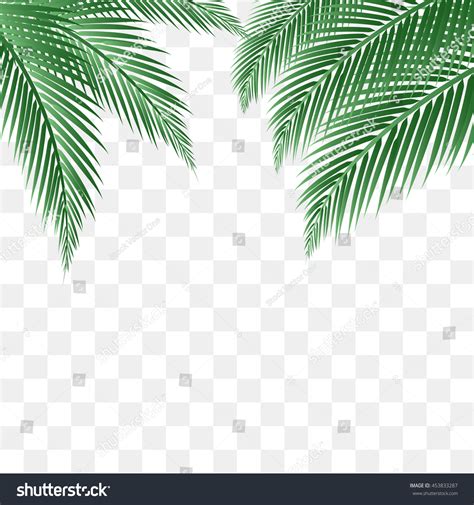 Palm Leaves Vector Background Stock Vector 453833287 - Shutterstock