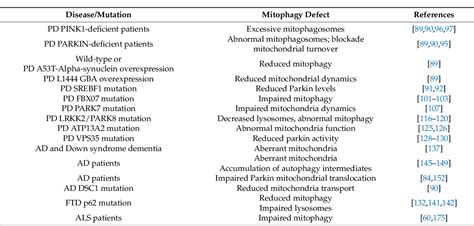 [PDF] Mitophagy in Human Diseases | Semantic Scholar