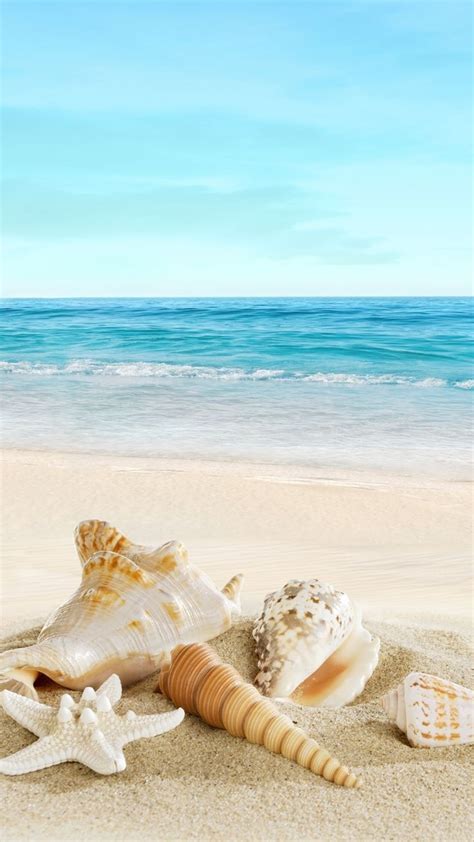 Beach Phone Wallpaper iPhone HD en 2020 | Image plage, Coquillage de ...