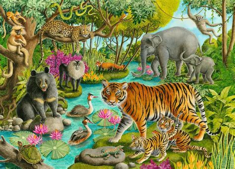 Animals of India | Children's Puzzles | Jigsaw Puzzles | Products | Animals of India