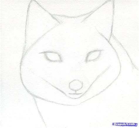 Swift Fox Drawing at PaintingValley.com | Explore collection of Swift ...