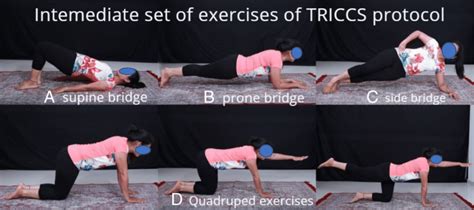 a Supine bridge exercises. b Prone bridge exercises. c Side bridge... | Download Scientific Diagram