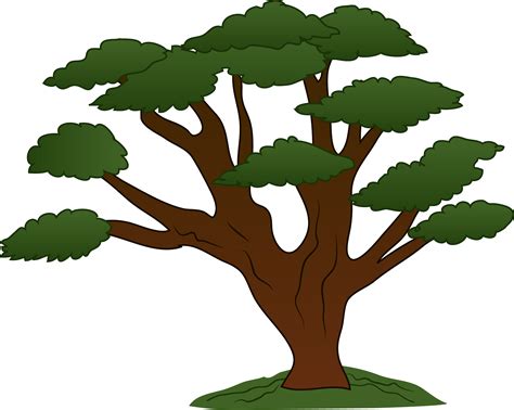 TREE CARTOON PNG - Cliparts.co