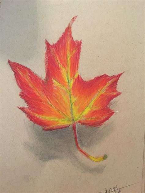 maple leaf drawing realistic - Carlena Pitt