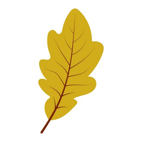 Hand drawn autumn oak leaf 3366725 Vector Art at Vecteezy