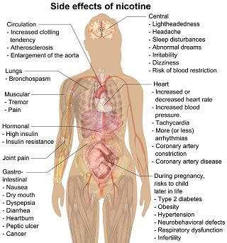 Side Effects of Nicotine on Your Health