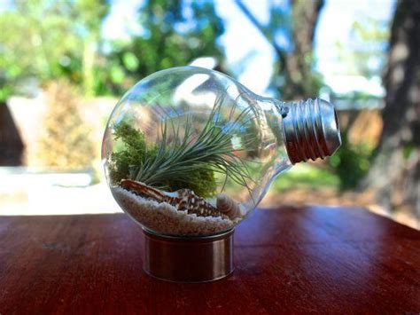 20+ Fantastic DIY Ways To Recycle Old Light Bulbs