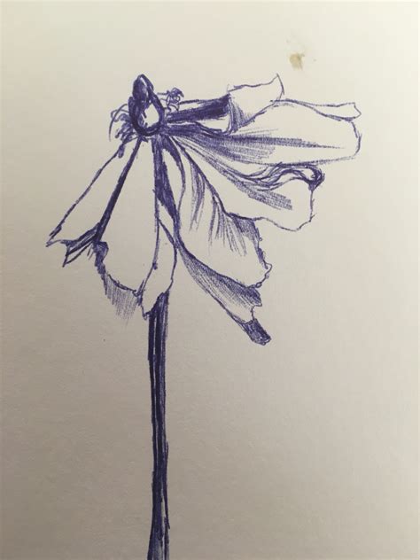 Dead Flower Drawing at GetDrawings | Free download