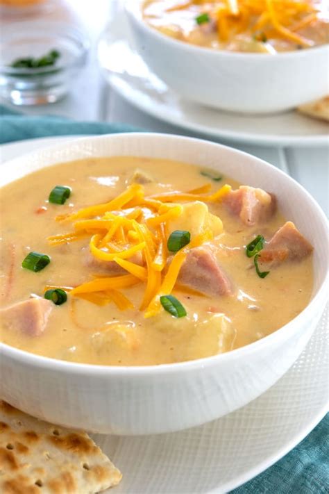 Ham and Cheese Soup Image - Food Fanatic