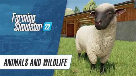 🐮 Animals & Wildlife in Farming Simulator 22 - YouTube