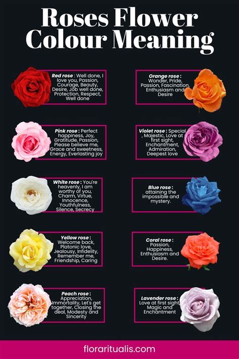 Rose flower meaning the ultimate guide – Artofit