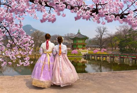 Top 7 Places to Witness Beautiful Cherry Blossoms in Korea | Veena World