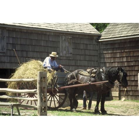 Differences Between the Mennonite and the Amish Religion - Synonym