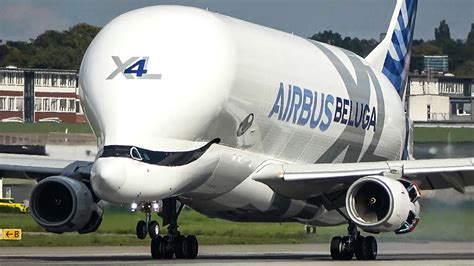 AIRBUS BELUGA XL LANDING and Departure - THE FLYING WHALE (4K) - YouTube