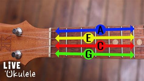 Ukulele Tuning: Types And How-to Guide Orchestra Central, 45% OFF