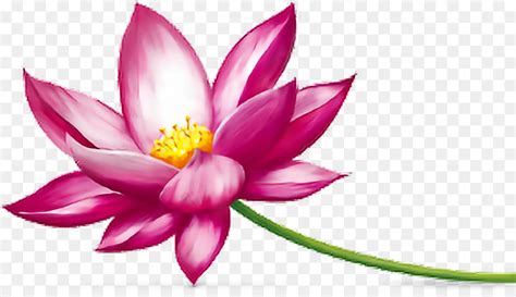 Clipart images of flowers lotus pictures on Cliparts Pub 2020! 🔝