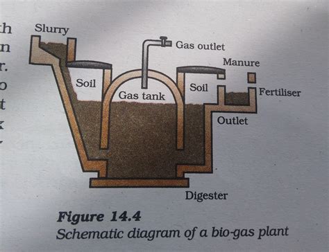 Draw A Labelled Diagram Of Biogas Plant Brainly In | The Best Porn Website