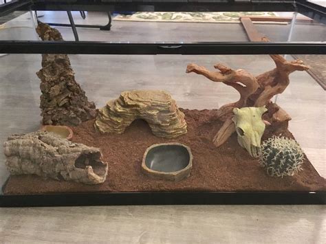 Preparing the habitat for the leopard gecko that I’m getting this weekend, am I missing anything ...