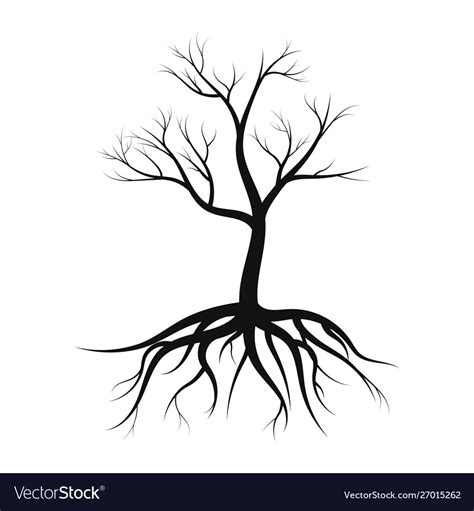 Tree silhouette with roots without leaves Vector Image