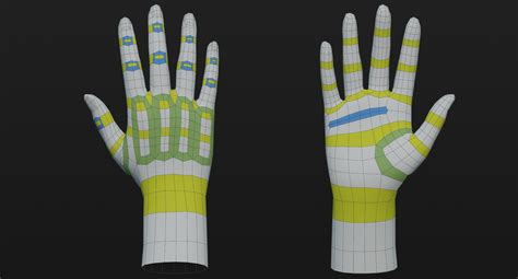 Modeling a Human Hand Topology Guides