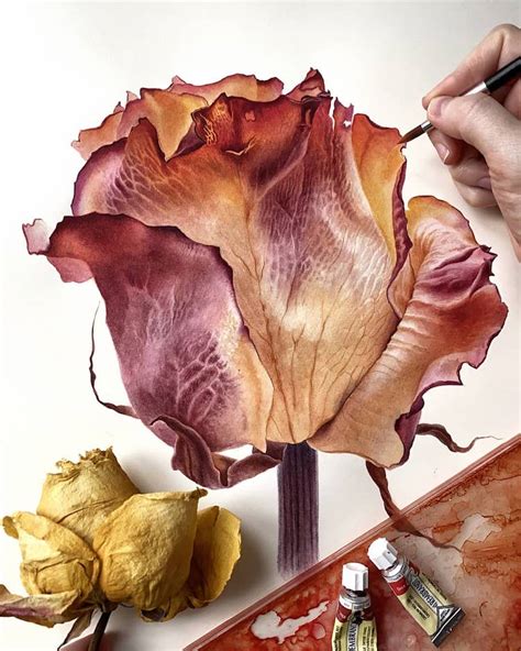 Artist Captures the Delicate Beauty of Nature in Botanical Paintings