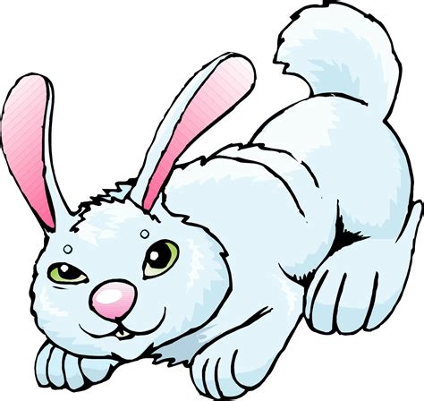 Rabbit Cartoon Drawing - ClipArt Best