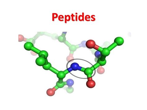 Peptides