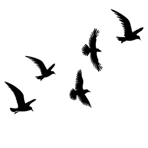 Premium Vector | Birds flying silhouette on white background isolated vector