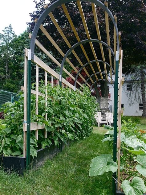 9 Creative DIY Tomato Trellis Ideas