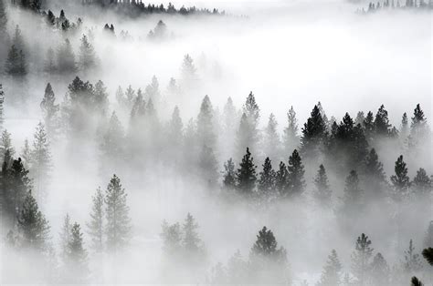 Inland Northwest in the thick of peak fog season | The Spokesman-Review