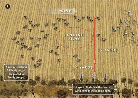 Duck Decoy Spreads Diagrams