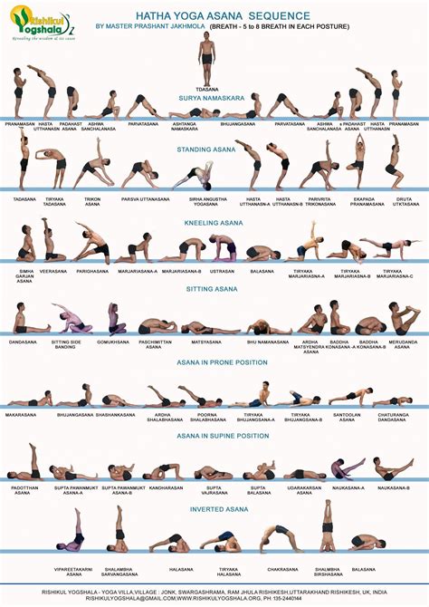 Hatha Yoga Primary Series Infographic | Hatha yoga sequence, Easy yoga workouts, Yoga asanas