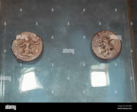 Satavahana coins, 1st-3rd century AD. Copper Stock Photo - Alamy