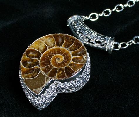 Ammonite Necklace - 110 Million Year Old Fossil (#4229) For Sale ...