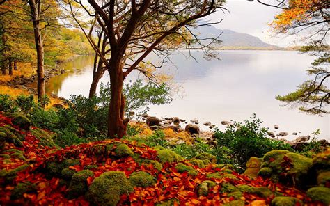 Beautiful Fall Scenery Wallpaper (49+ images)