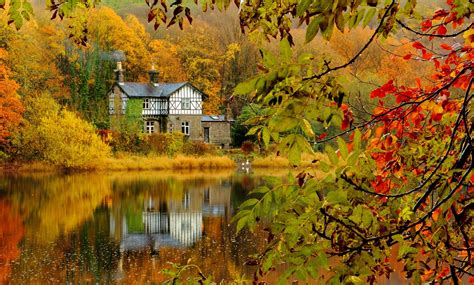 autumn, Fall, Landscape, Nature, Tree, Forest, Leaf, Leaves, House ...