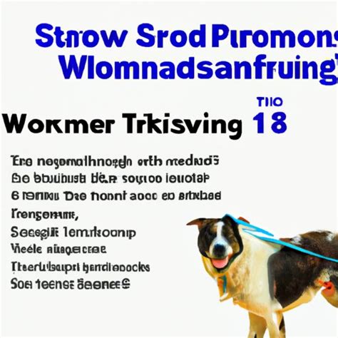 How Does a Dog Get Hookworms? Symptoms, Treatment and Prevention ...