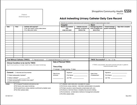 Foley Catheter Nursing Skill Template