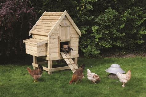 How To Build A Chicken Coop: Chicken Coops Designs - Top Tips To ...